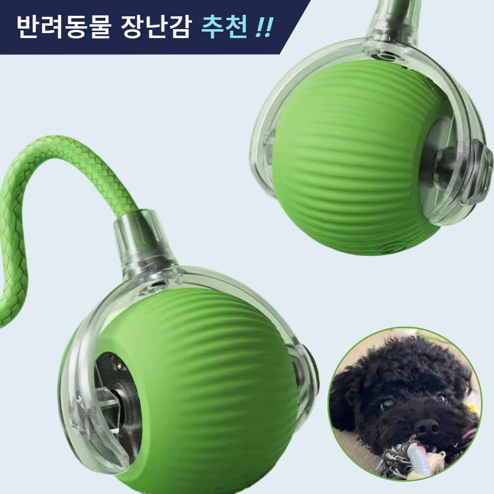 제이셀르 자동으로 움직이는 반려동물 장난감 강아지 자동 공놀이 장난감